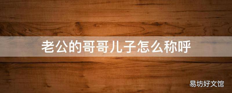 老公的哥哥儿子怎么称呼
