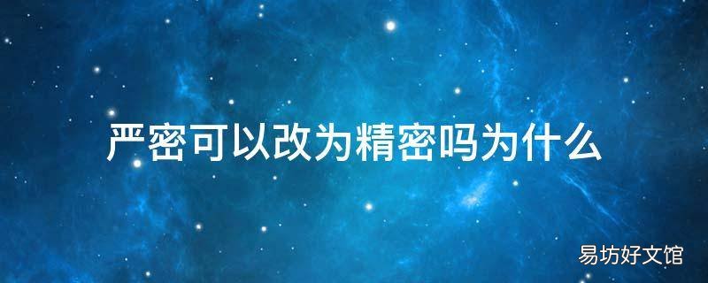 严密可以改为精密吗为什么