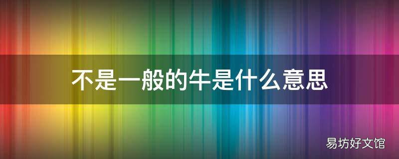 不是一般的牛是什么意思
