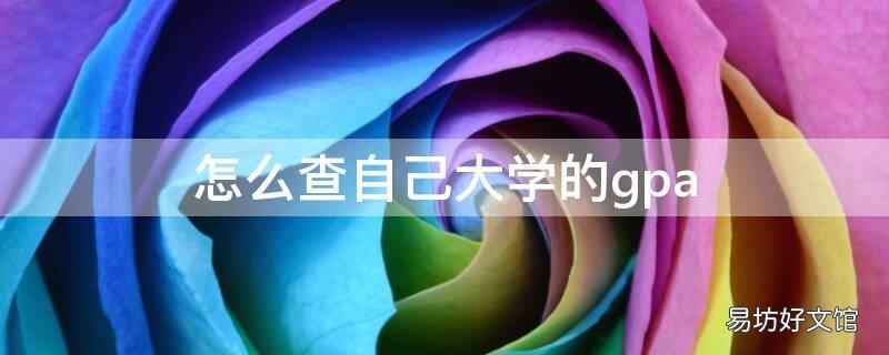 怎么查自己大学的gpa