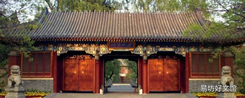 北大跳跳学长叫什么