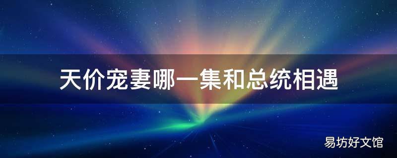 天价宠妻哪一集和总统相遇