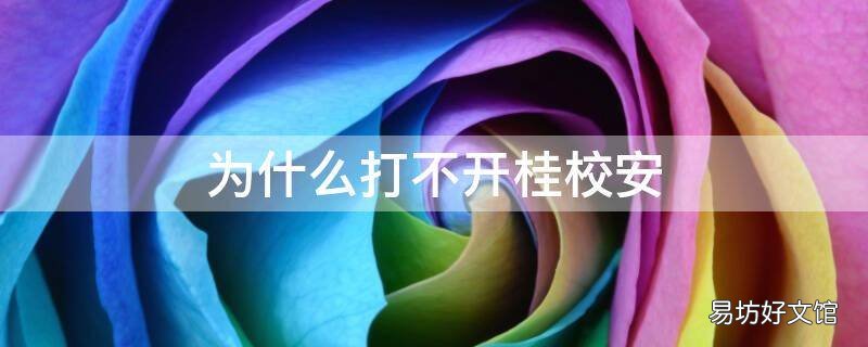 为什么打不开桂校安