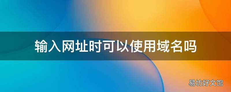 输入网址时可以使用域名吗