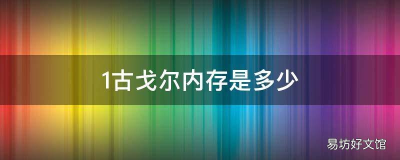 1古戈尔内存是多少