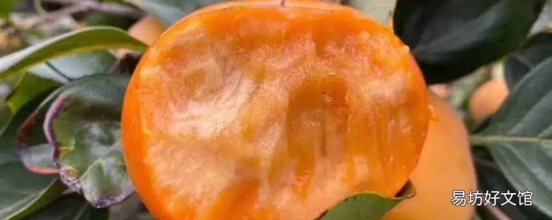 脆柿中果一个多少g