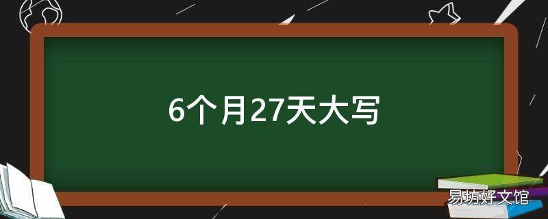 6个月27天大写