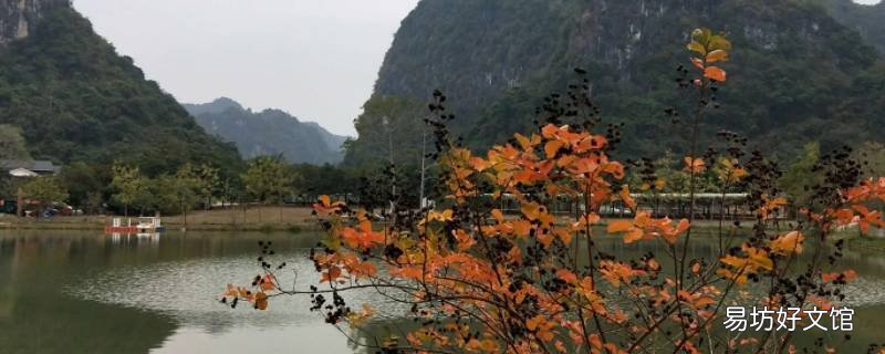 扶绥县松江路属于哪个社区