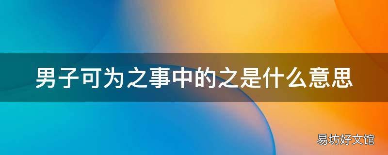男子可为之事中的之是什么意思