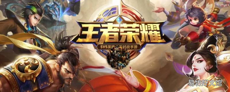 王者的星会员打不开