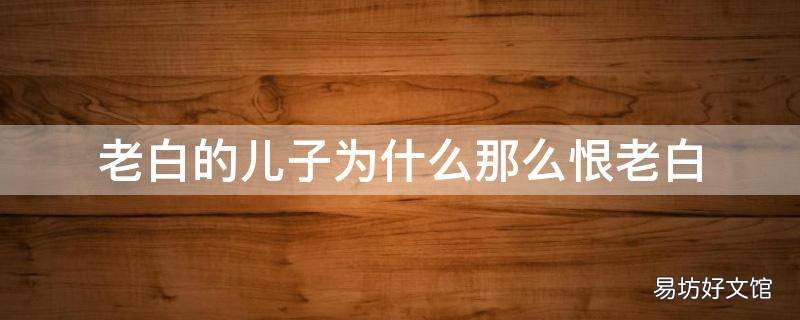 老白的儿子为什么那么恨老白