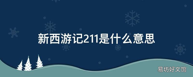 新西游记211是什么意思