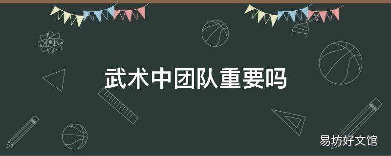 武术中团队重要吗