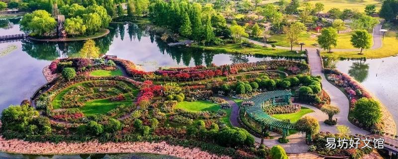 新南路场西路到辰山植物园怎么走