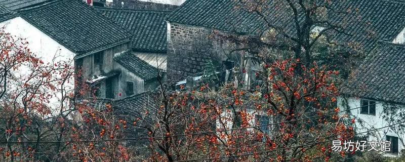 柿林古村离四明山多远