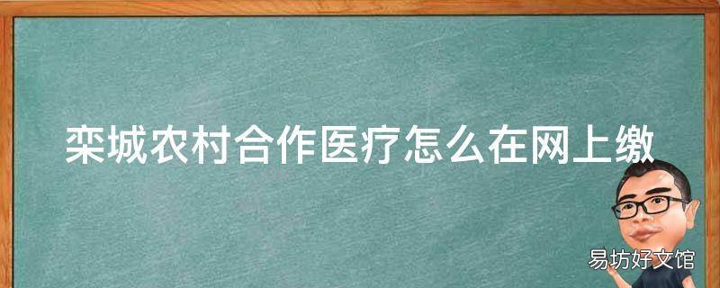 栾城农村合作医疗怎么在网上缴