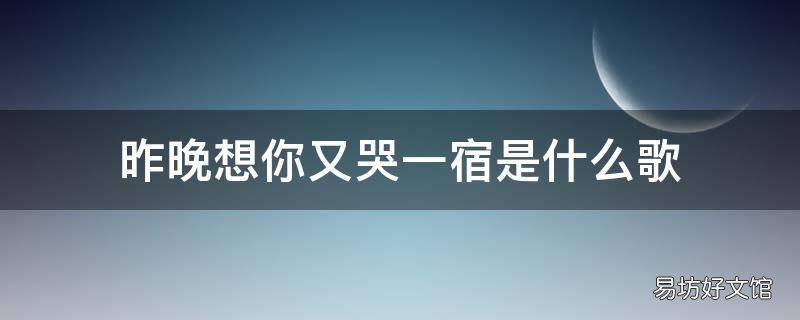 昨晚想你又哭一宿是什么歌