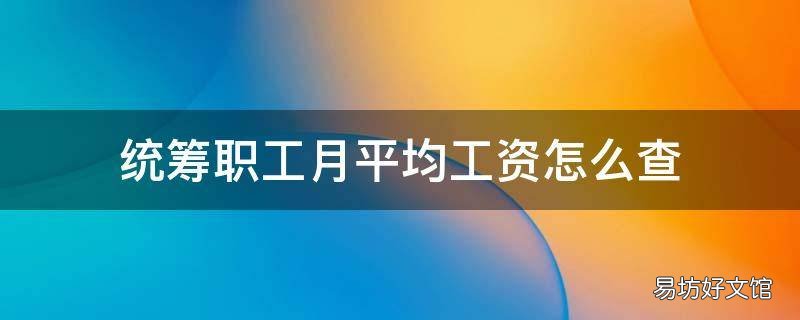 统筹职工月平均工资怎么查