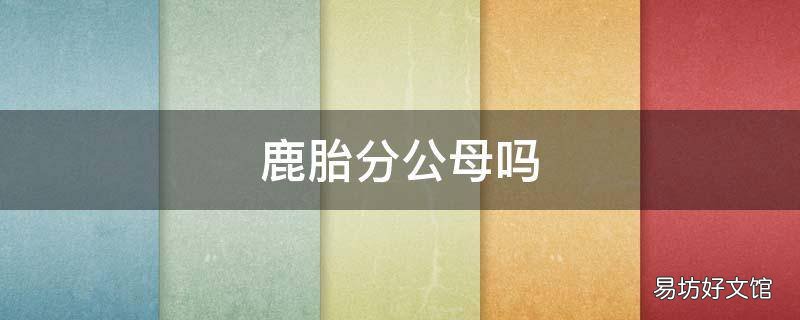 鹿胎分公母吗