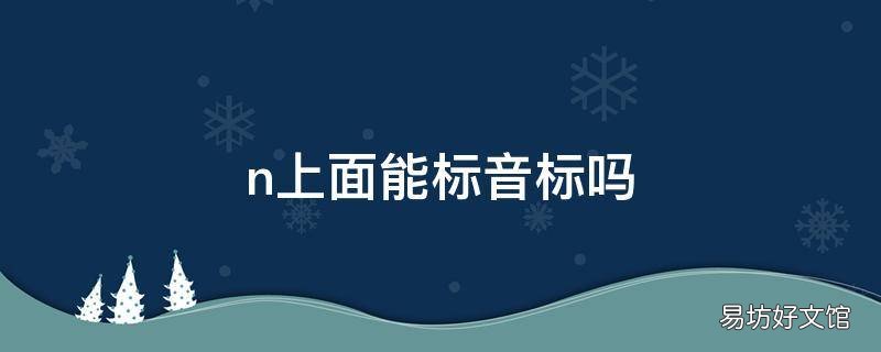 n上面能标音标吗