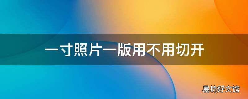 一寸照片一版用不用切开