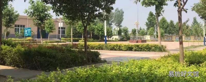 苏坊镇距离薛镇有多远