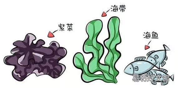 为什么沿海的居民也需要补碘呢?
