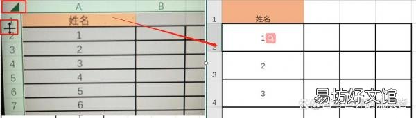 完美调整表格行高距离技巧 表格行距怎么调整大小