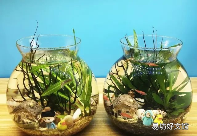 观赏鱼用盐指南,观赏鱼用盐怎么用合适