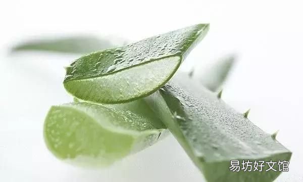 如何区分心血管病和胃病,有胃病能吃治心血管中药吗