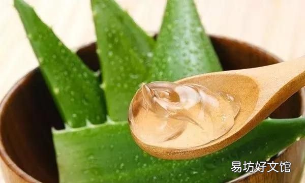 如何区分心血管病和胃病,有胃病能吃治心血管中药吗