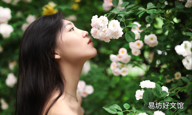 目前公认的最安全有效的美白成分
