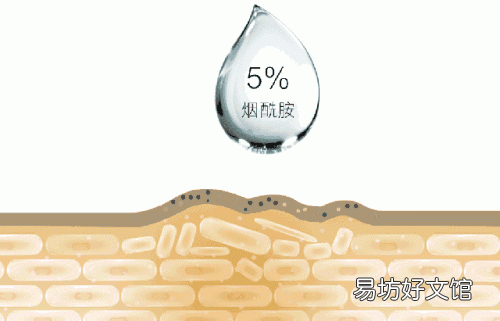 目前公认的最安全有效的美白成分