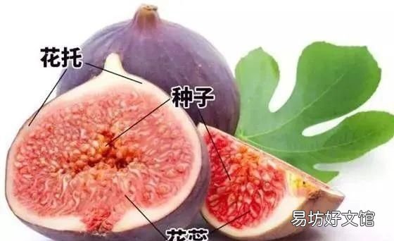 立冬后,用这3种水果煮汤喝,清香开胃,滋润解渴