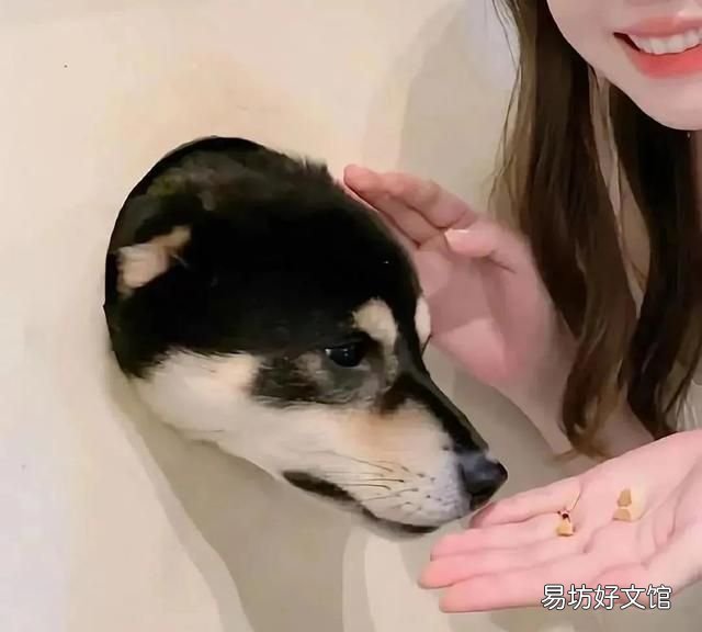 自己拍情侣头像怎么拍,如何用一张图找到情侣头像