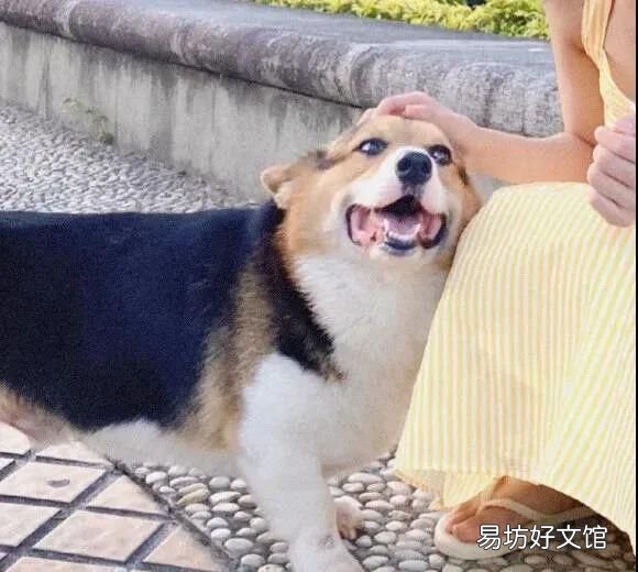 自己拍情侣头像怎么拍,如何用一张图找到情侣头像
