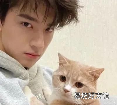 自己拍情侣头像怎么拍,如何用一张图找到情侣头像