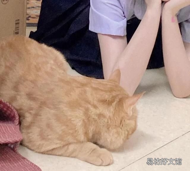 自己拍情侣头像怎么拍,如何用一张图找到情侣头像