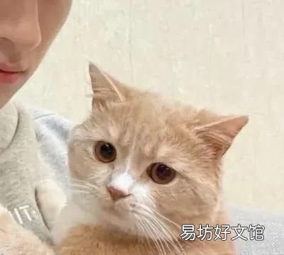 自己拍情侣头像怎么拍,如何用一张图找到情侣头像