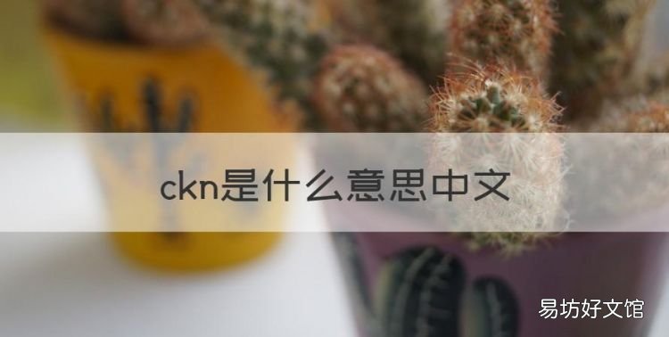 ckn是什么意思中文,女人说的ck是什么意思