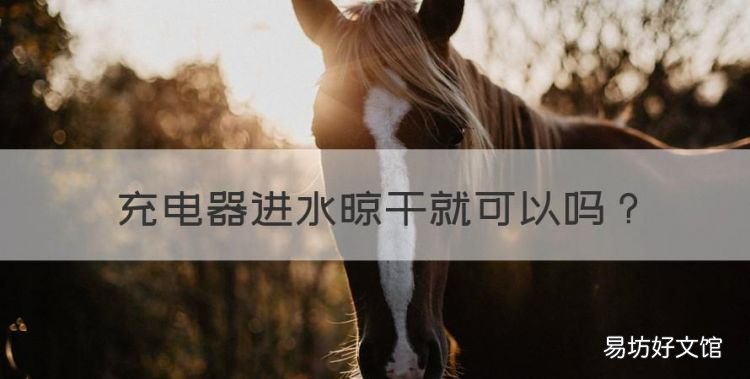 充电器进水晾干就可以,电车充电器进水了怎么办还能用吗