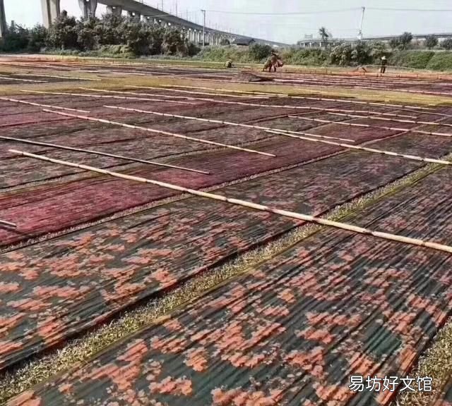 哪一种香云纱最好 香云纱面料哪种最好
