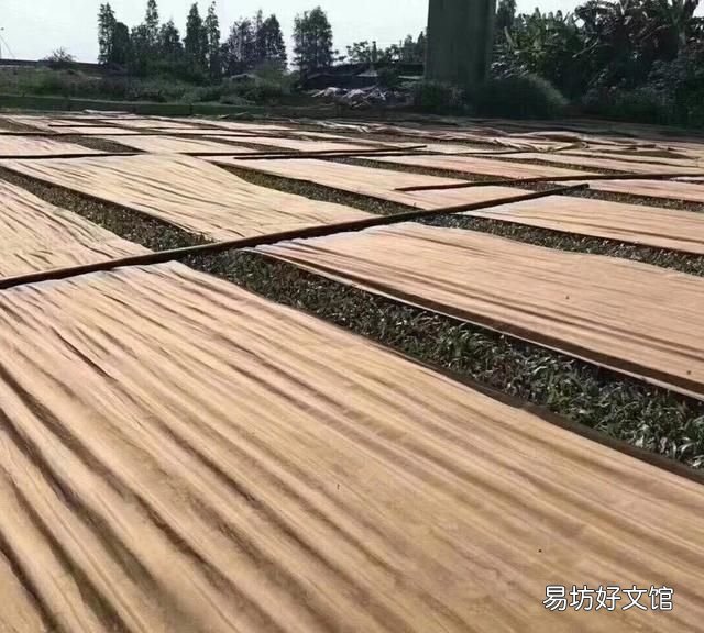 哪一种香云纱最好 香云纱面料哪种最好