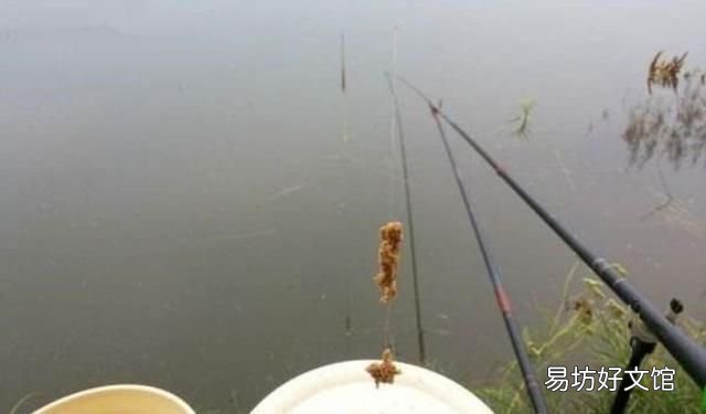 拉饵开饵后拉不成什么原因