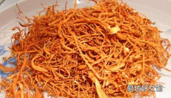 虫草花不能和什么一起吃,虫草花不能和什么东西一起煲