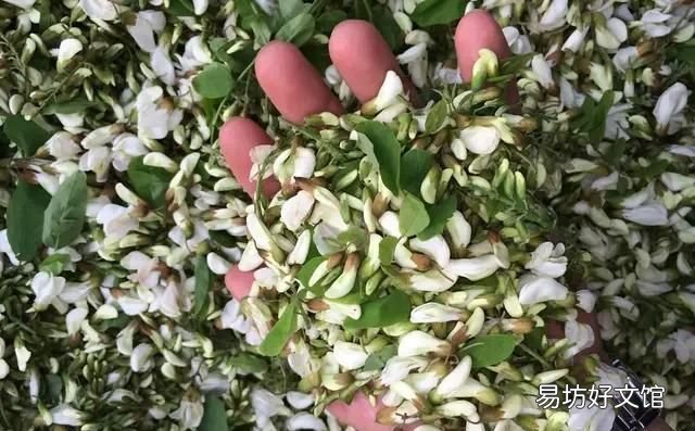 槐树花有什么作用