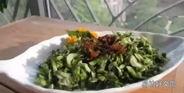 槐树花有什么作用