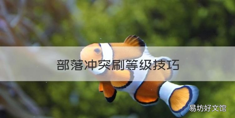 部落沖突刷等級技巧