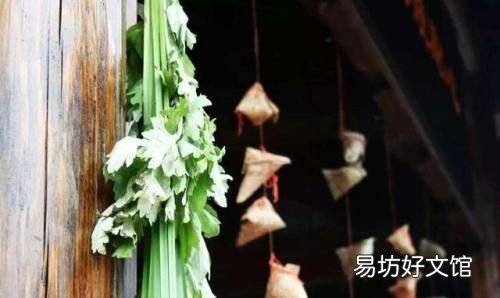 存放粽子的小窍门
