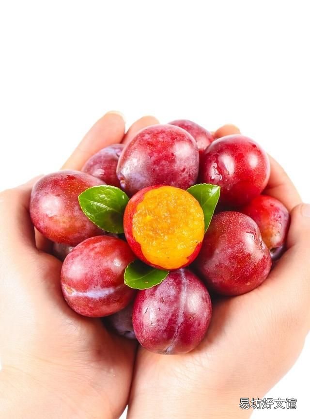 2岁的宝宝误食西梅核怎么取出 2岁宝宝能不能吃西梅